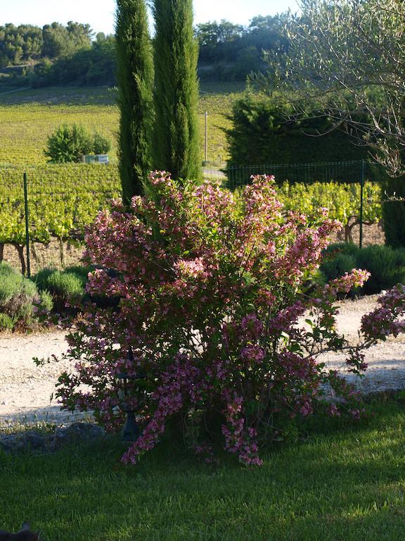 Jardin D'Antan Bed and Breakfast Ansouis Eksteriør billede
