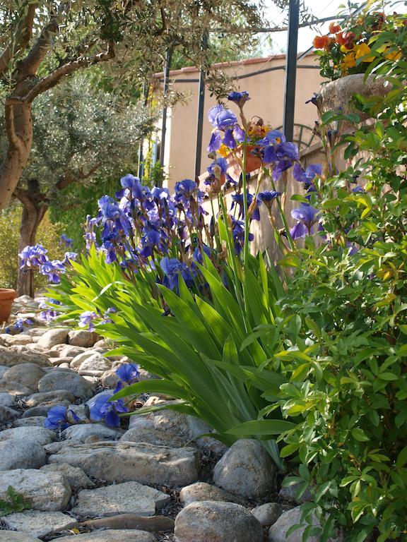 Jardin D'Antan Bed and Breakfast Ansouis Eksteriør billede